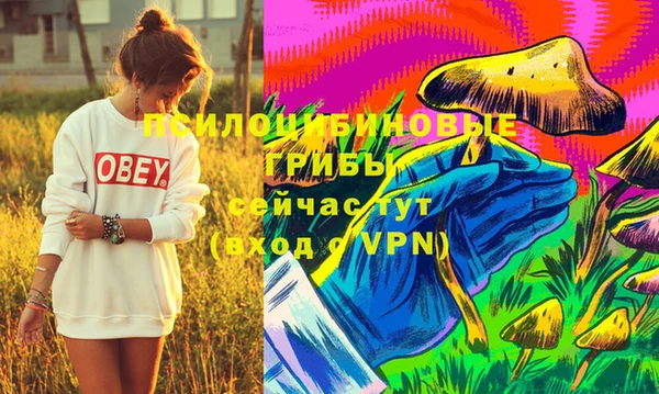 крисы Куйбышев