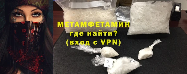 прущие грибы Кулебаки