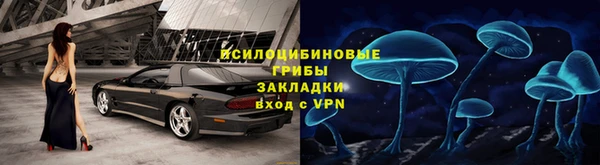 молекула духа Лихославль