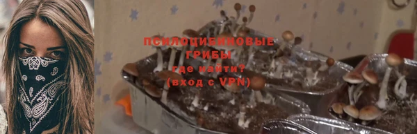 молекула духа Лихославль