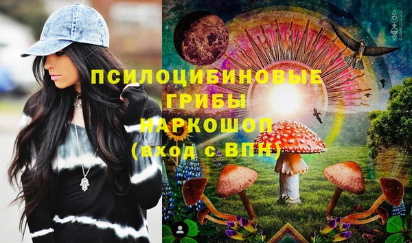 прущие грибы Кулебаки