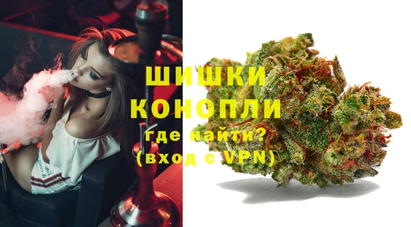 мдпв Лабытнанги