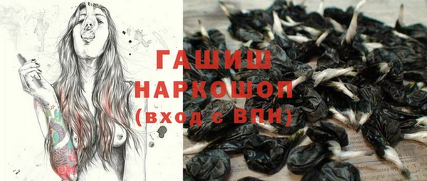 индика Кукмор