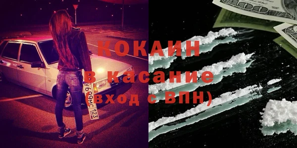 индика Кукмор