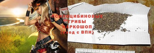 крисы Куйбышев