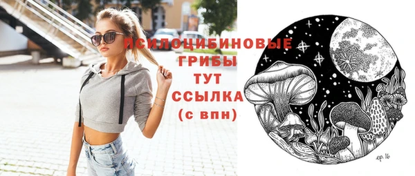индика Кукмор