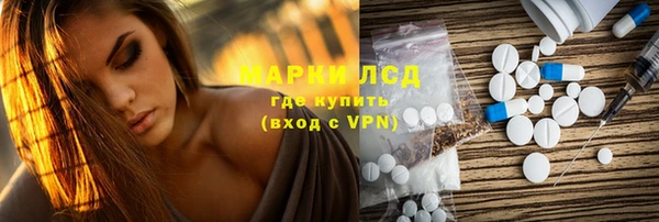 прущие грибы Кулебаки