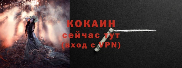 прущие грибы Кулебаки