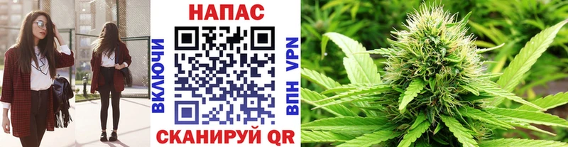 купить   Куртамыш  Каннабис Bruce Banner 